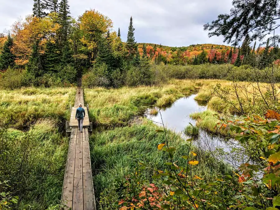 Crossing a marsh on a boardwalk in the Summit Peak Scenic area of the Porcupine Mountains