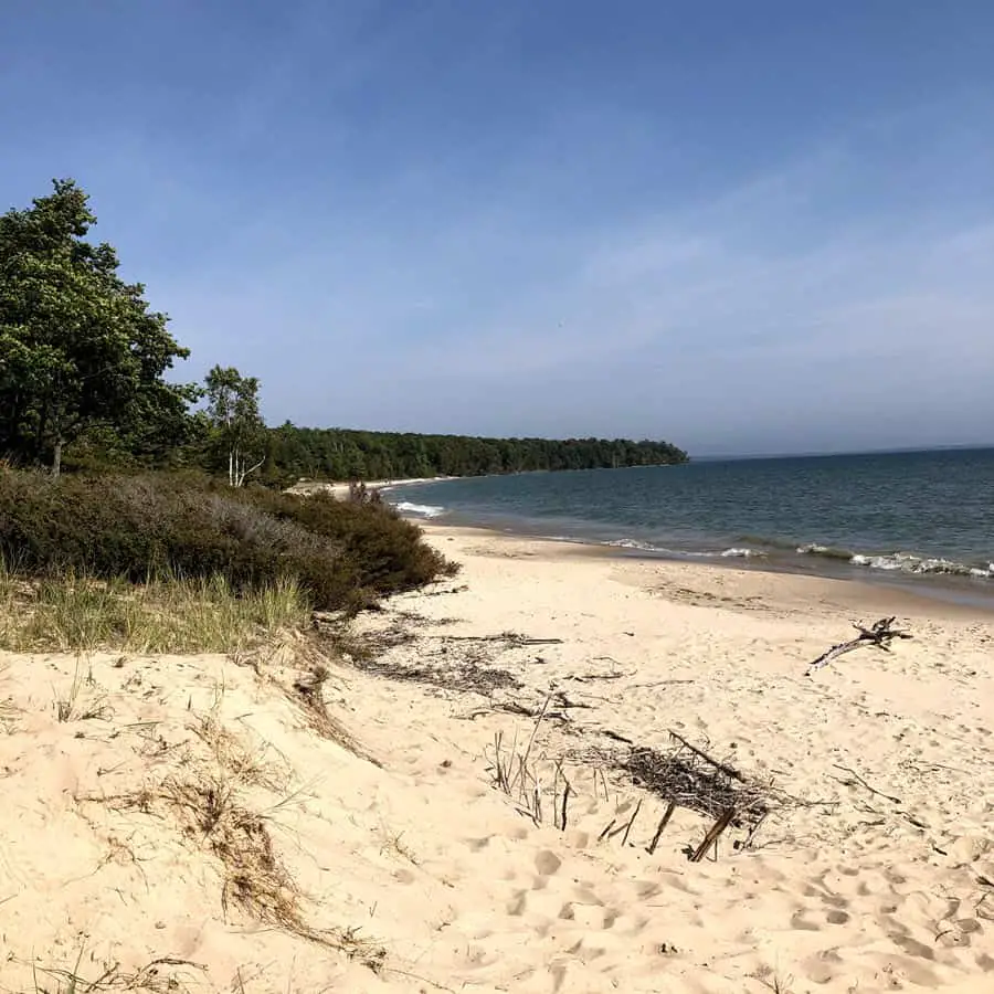 Lakeshore view from the Europe Bay Loop in Newport State Park. Image shos sandy beach and forested lakeshore.