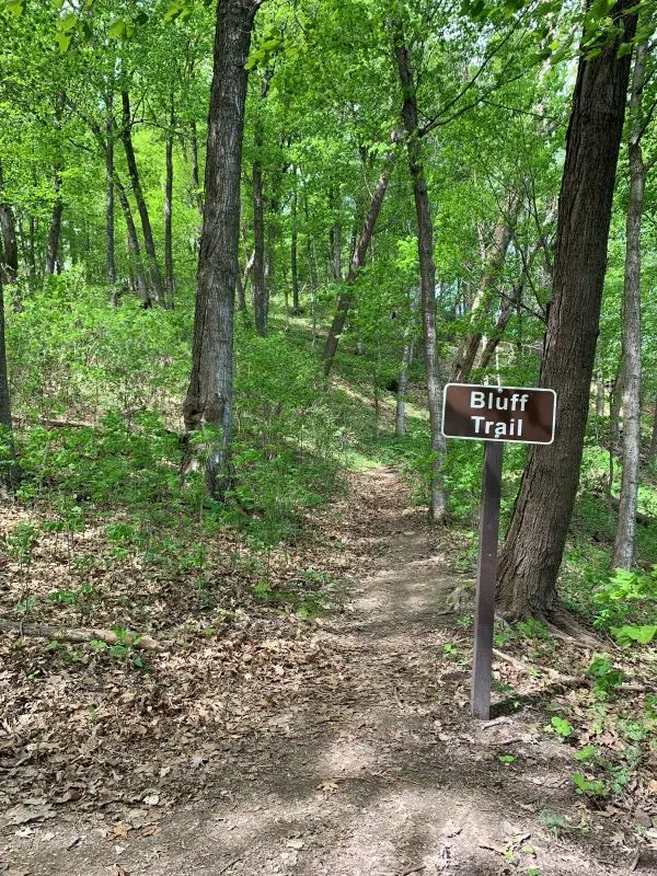 Image of a brown sign that states Bluff Trail surrounded by green foliage.