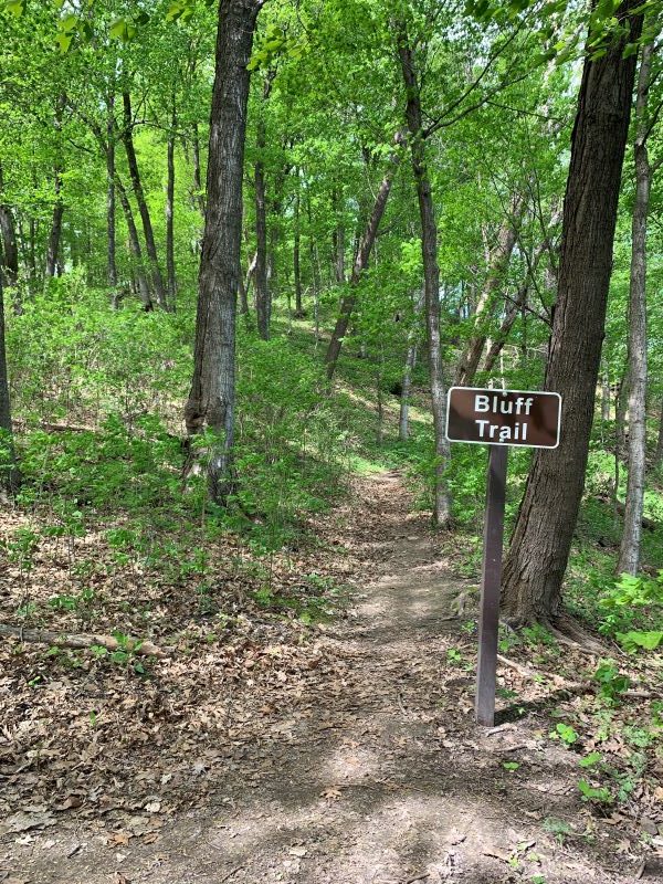 Image of a brown sign that states Bluff Trail surrounded by green foliage.