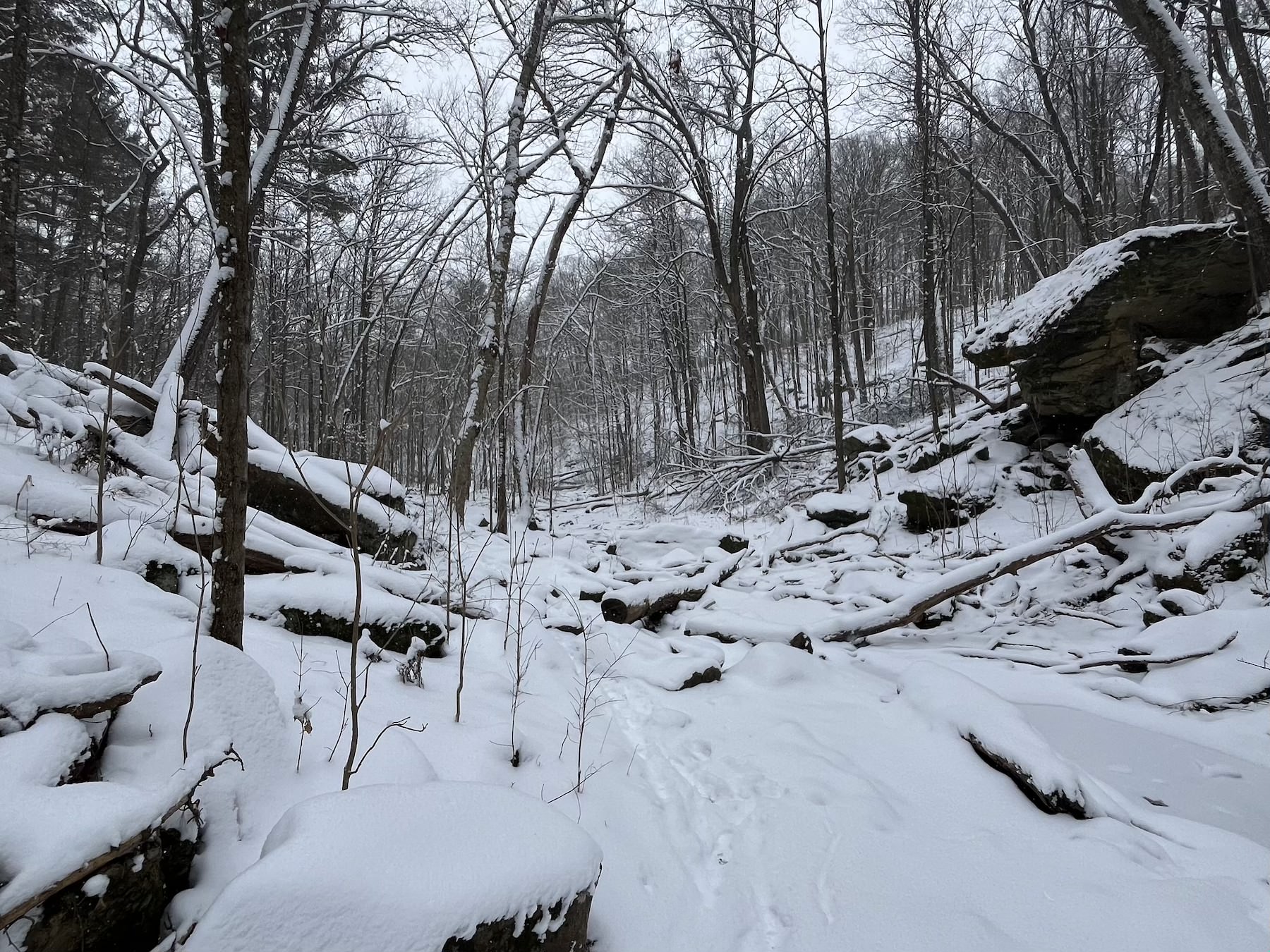Image of snowy rocks in Governor Dodge State park